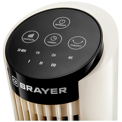 BRAYER Brayer BR4979