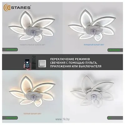 Estares Fan Flower