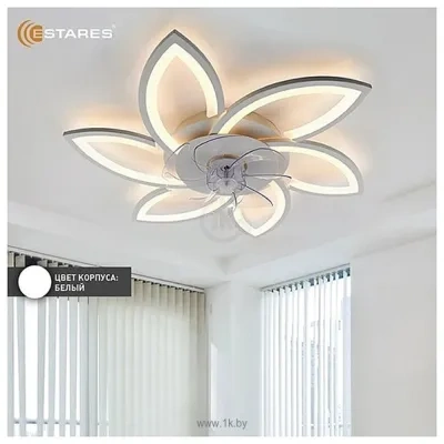 Estares Fan Flower