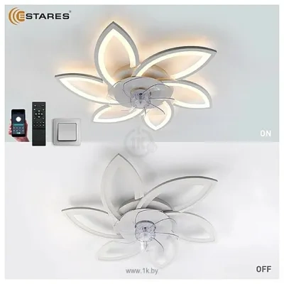 Estares Fan Flower